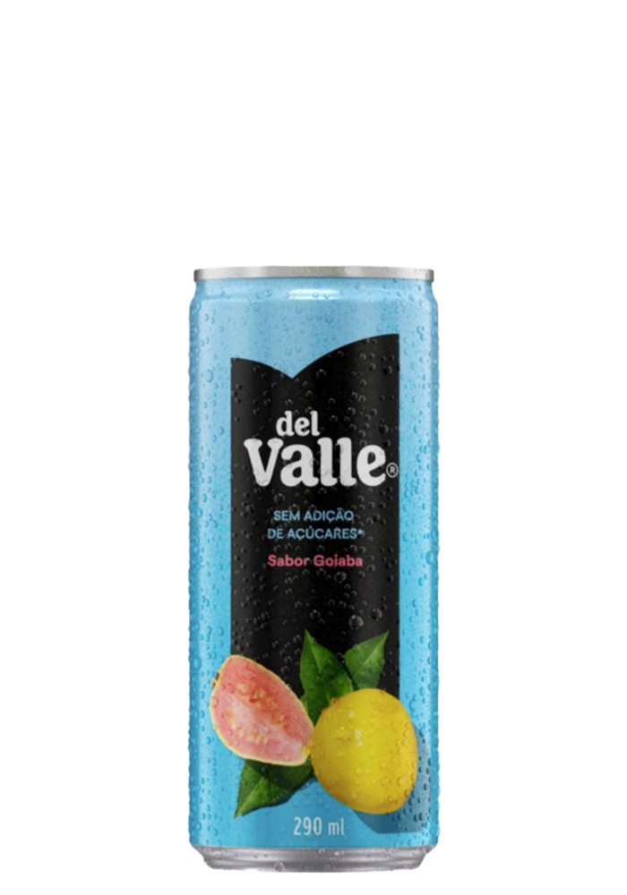 Suco Del Valle Néctar Goiaba Sem Açúcar Lata 290ml - 6 unidades
